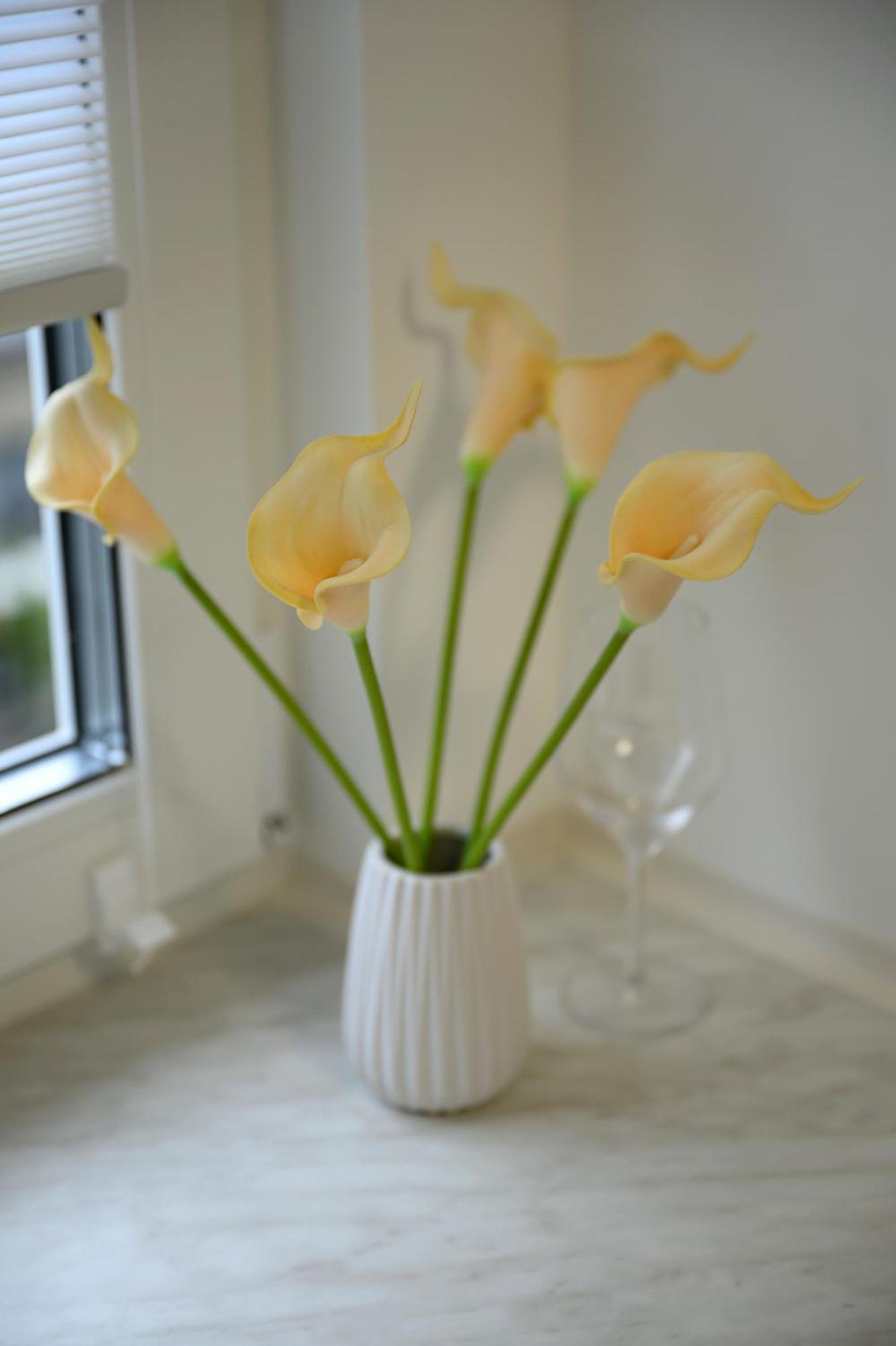 Appartement In Koeln-messe *